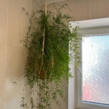 بيت للعطل Happystay Family House By Dream Apartments *